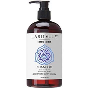Laritelle Organic Shampoo 16 oz Image